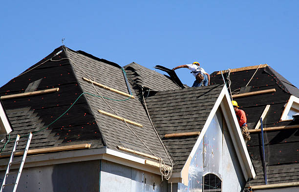 Best Roof Gutter Cleaning  in Haskell, AR